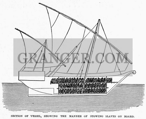 Image of ARAB SLAVE SHIP, 1873. - Cross-section Of A Dhow Used In The ...